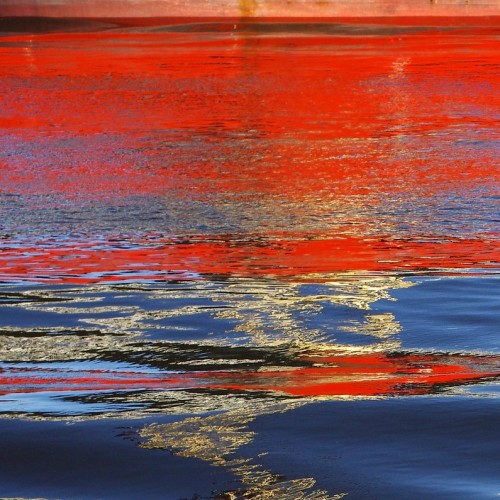 Таинственный Канонерский остров