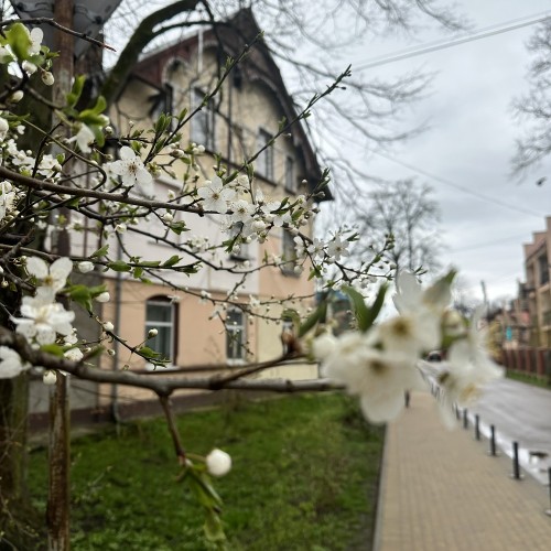 Экскурсия «В поисках самого старого дома Кранца»