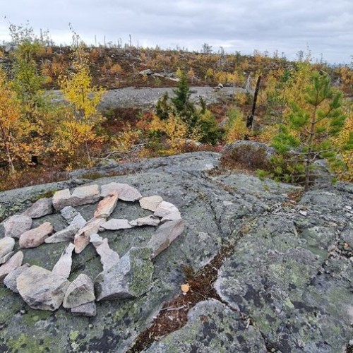 Детокс в Карелии: место силы, дары леса и походная романтика (всё включено)