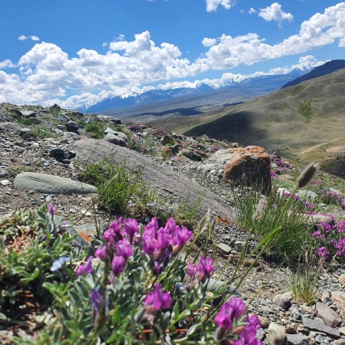 Автопутешествие по знаковым местам Алтая