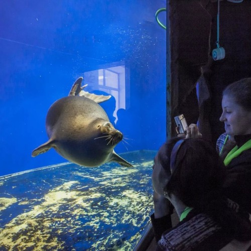 В гости к дедушке Байкалу! Автобусный тур по главным местам: Листвянка, КБЖД и прогулка на катере