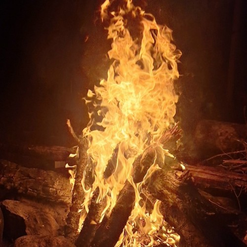 Поход-перезагрузка среди дикой природы Карелии в мини-группе (из Санкт-Петербурга)