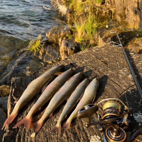 Экстрим-экспедиция на лодке вокруг Ольхона и рыбалка на Байкале только для вас