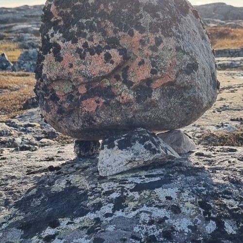 Рыбалка в тундре с ночёвками в палатках: ловим красную рыбу в озере, море или на сопках