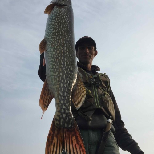 Результативная рыбалка на Гусином озере в своей компании