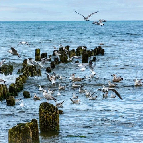 Тур в Калининград и область с ночью в замке и традиционными ужинами