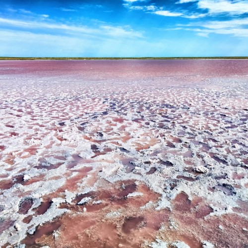 В Элисту из Волгограда на автобусе: вальс тюльпанов, этнопрограмма, мастер-классы и «Страна Бумба»