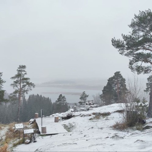 В экопарк «Долина водопадов» и музей «Кирьяж» — из Петербурга