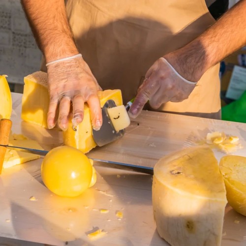 На «Фестиваль сыра», к лосям и на праздник Ивана Купалы: автобусный мини-тур в Кострому и Плёс