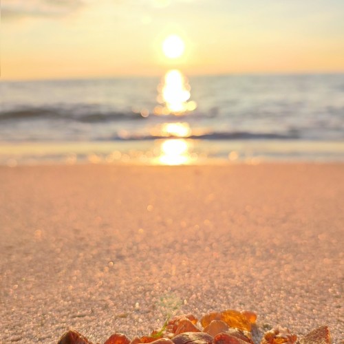 Индивидуальная прогулка выходного дня: Калининград, Зеленоградск, Куршская коса