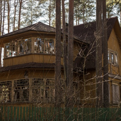 Комарово: аудиопрогулка по Лесной стороне