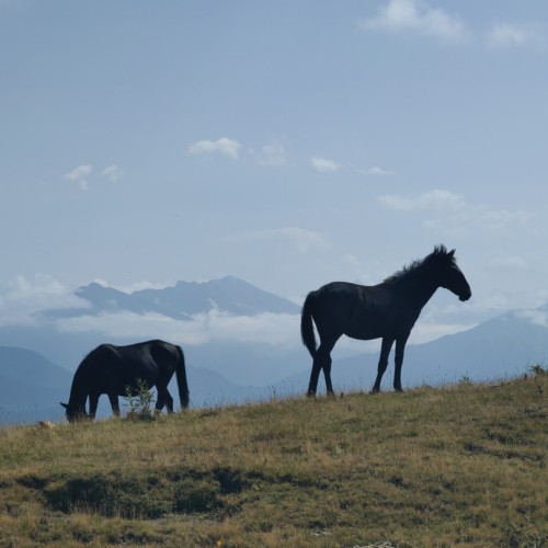 Откликнуться на зов гор: тур в Домбай и Архыз в мини-группе с несложным треккингом и комфортом