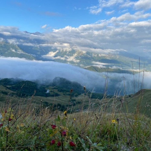 3 дня в Чечне: индивидуальное путешествие с экскурсиями на выбор
