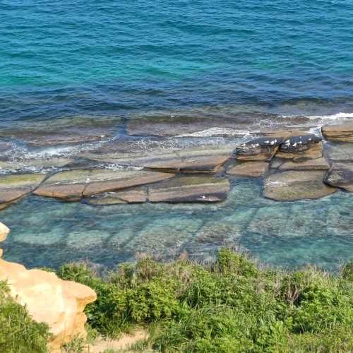 Морские деликатесы острова Русский