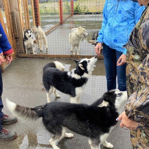 Очарование Севера: этнодеревня, Териберка и столица Арктики в мини-группе