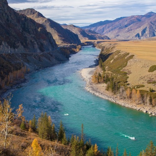 Из Алтая, по Чуйскому тракту — в Монголию на фестиваль беркутчи с проживанием в юрте