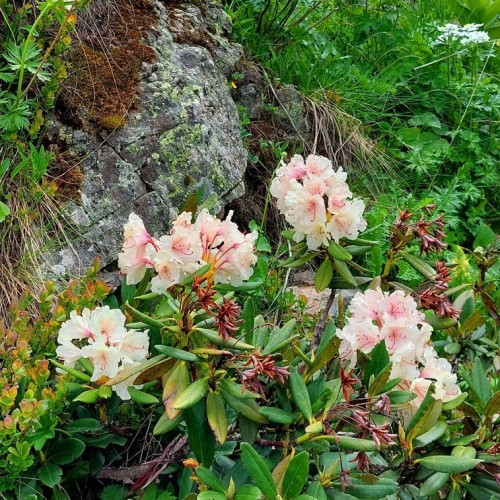 Нетипичное Приэльбрусье: треккинг налегке к 4 высокогорным озёрам с проживанием в гостинице