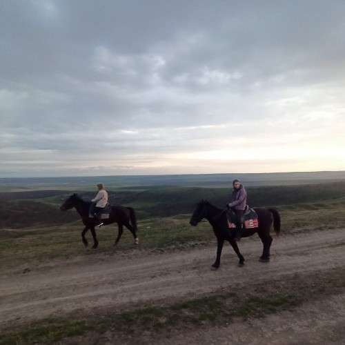 3 дня в Чечне: индивидуальное путешествие с экскурсиями на выбор