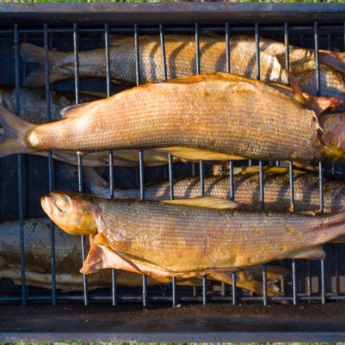За трофеями на Байкал с местными: рыбалка с катера, катамарана и на реках