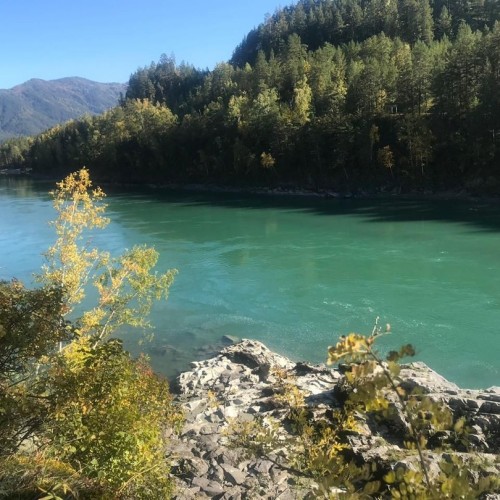 Возрождающая сила Алтая: ретрит-тур в женской компании