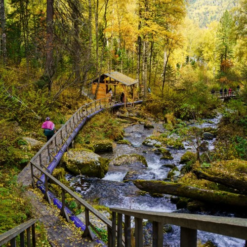 50 оттенков золота: путешествие по сентябрьскому Алтаю в мини-группе