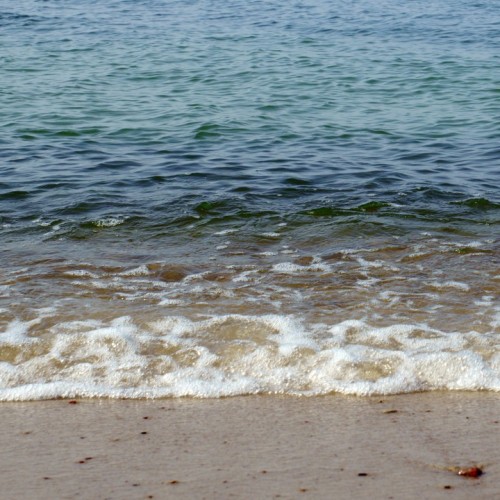 Зеленоградск, озеро Лебедь и другие природные чудеса с ночёвкой на Куршской косе (мини-группа)