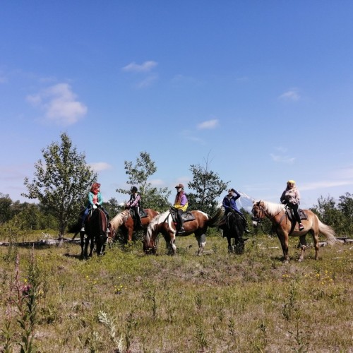 Камчатский максимум: конные прогулки, джипы, вулканы и рыбалка в Тихом океане