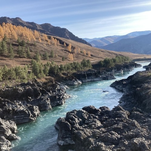 Чемал: всё самое интересное за 1 день!