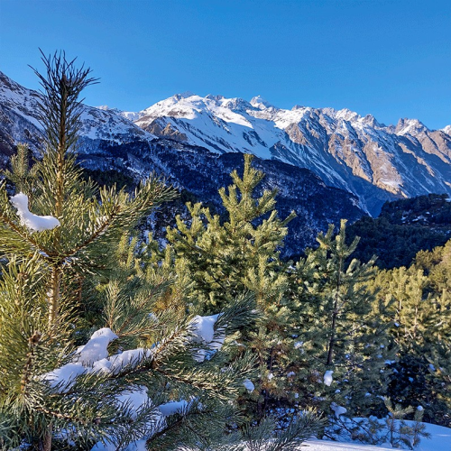 В снежную Верхнюю Балкарию на новогодние праздники: треккинг налегке с проживанием в гостинице