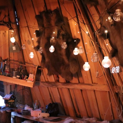 Северный экспресс-тур в мини-группе: Мурманск, Териберка и дополнительные активности на выбор