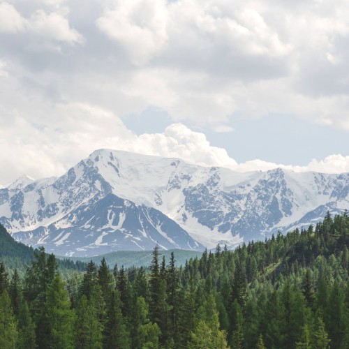 По легендарному Чуйскому тракту — к Гейзерному озеру