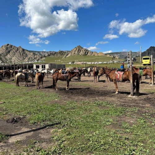 Путешествие на родину Чингисхана: Улан-Батор и нацпарк «Горхи-Тэрэлж»