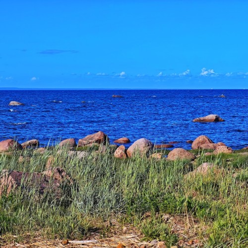 Из Петербурга — к фортам «Красная Горка», «Риф» и «Константин»