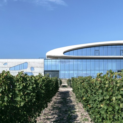 На одной широте с виноградниками Италии: гастропутешествие по винодельням Краснодарского края