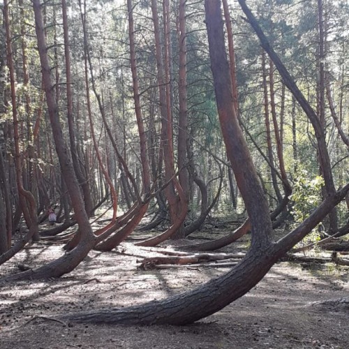 В Рязань своей компанией: Касимов, старинные сёла, городища, храмы, прогулки и природные чудеса