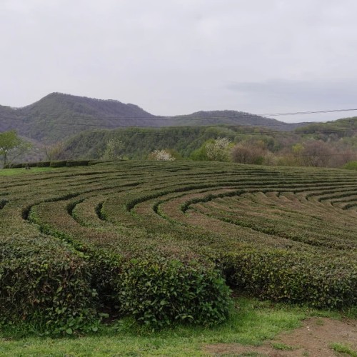 От сочинских водопадов до абхазских склонов: индивидуальный выезд