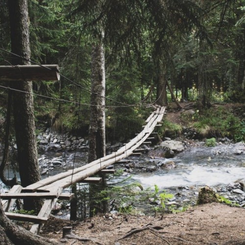 От Псебая до Красной Поляны: поход по горам с выходом к морю