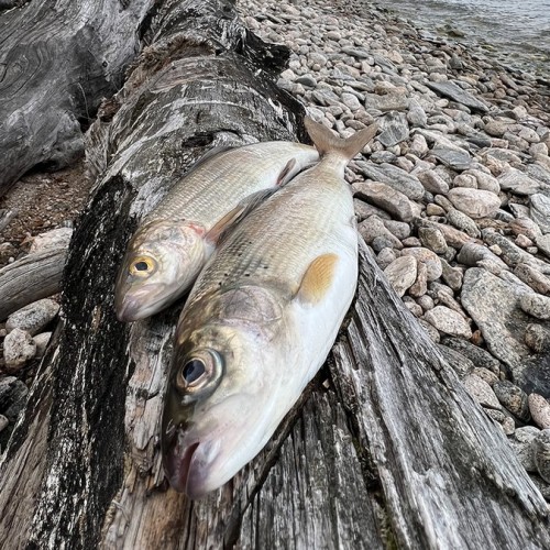 Экстрим-экспедиция на лодке вокруг Ольхона и рыбалка на Байкале только для вас