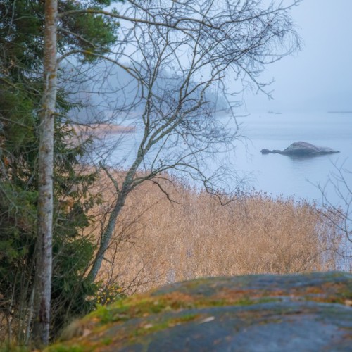 Там, где властвует природа: индивидуально в Карелию с гидом-фотографом