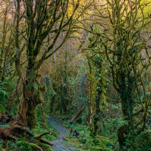 Путешествие из Махачкалы: от Тбилиси до Батуми