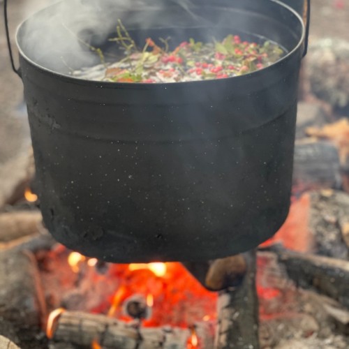 Детокс в Карелии: место силы, дары леса и походная романтика (всё включено)