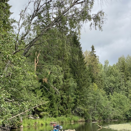 На сапбордах по реке Оредеж в мини-группе со съёмкой