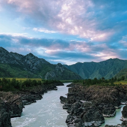 Лиловый наряд Алтая: путешествие по знаковым локациям и цветение маральника