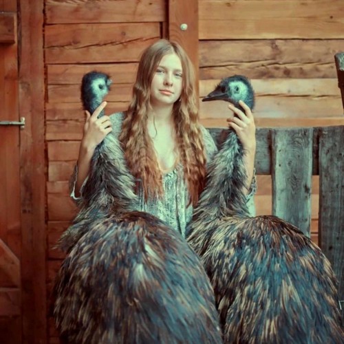 Агроэкскурсия на ферму и мастер-класс с перьями павлина