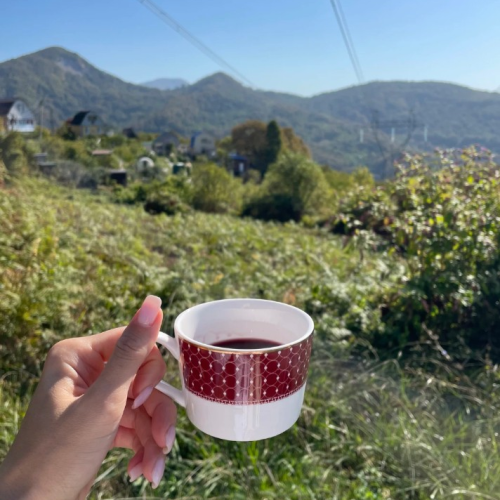 В гости к друиду: выходные в горной долине Шахе (мини-группа)