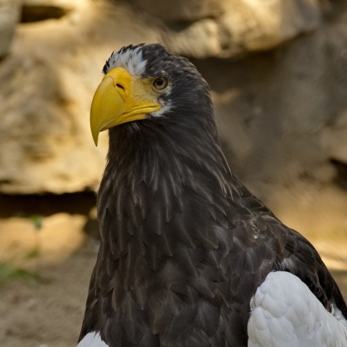 В сердце Западной Сибири: знакомство с Новосибирском, мир золота и монет и гастропрограмма
