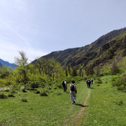 Топовые и необычные места Алтая в мини-группе: Чуйский тракт, озеро Джангыскёль и лёгкий треккинг