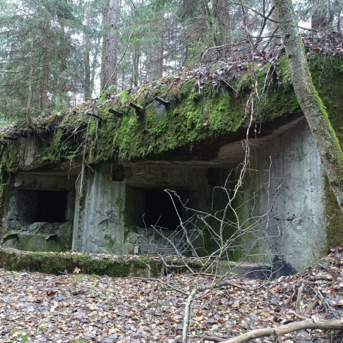 Карельский укрепрайон КаУР: дорогами двух войн (на вашем автомобиле из Петербурга)