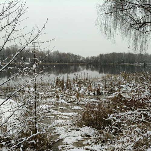 Косино — Кусково: путь от легенд к парадной усадьбе