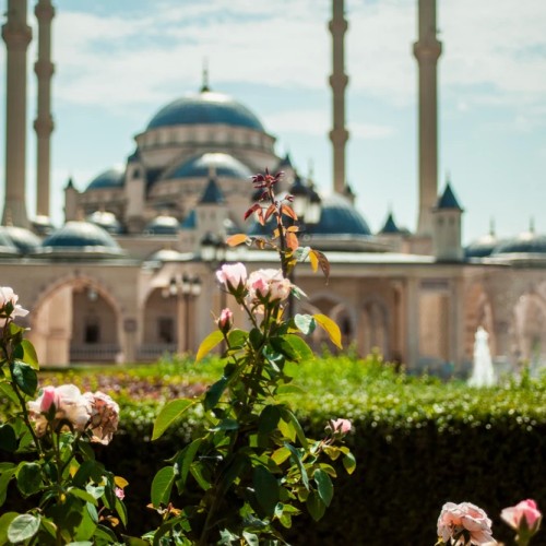 Индивидуально по Чечне и Дагестану: 2 республики за выходные